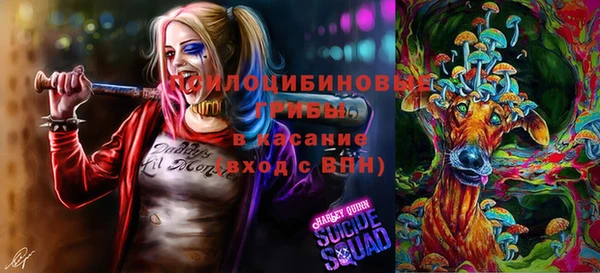 тгк Краснослободск