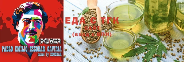 тгк Краснослободск